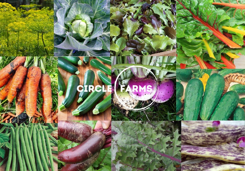 Vegetable Seed Kit - Seedbank Collection