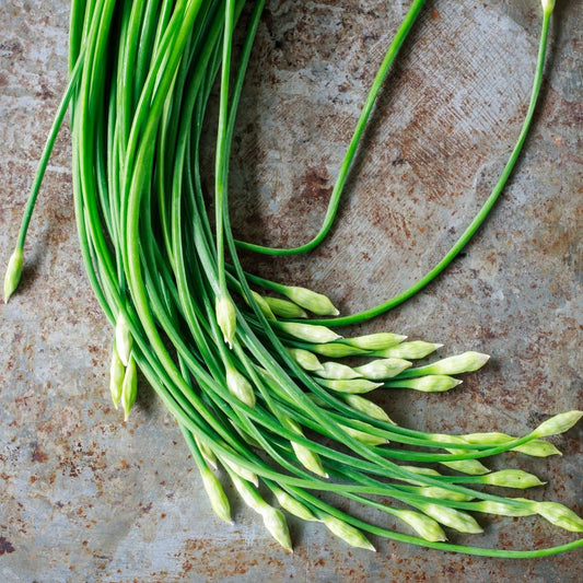 Garlic Chive Onions