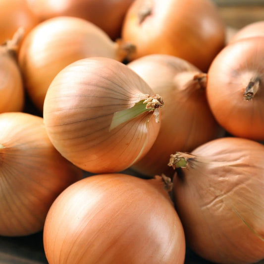 Onion - Walla Walla