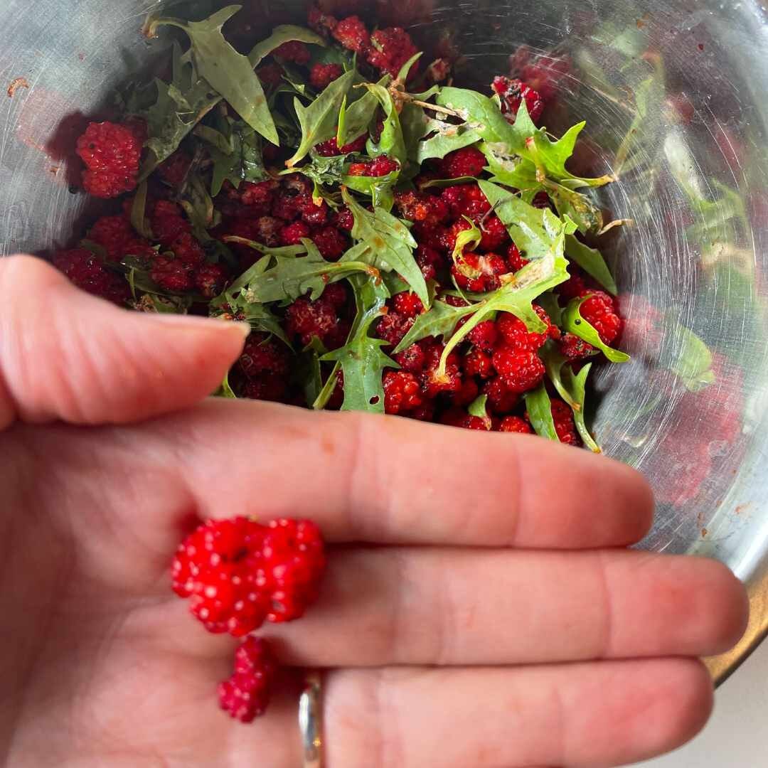 Spinach - Strawberry