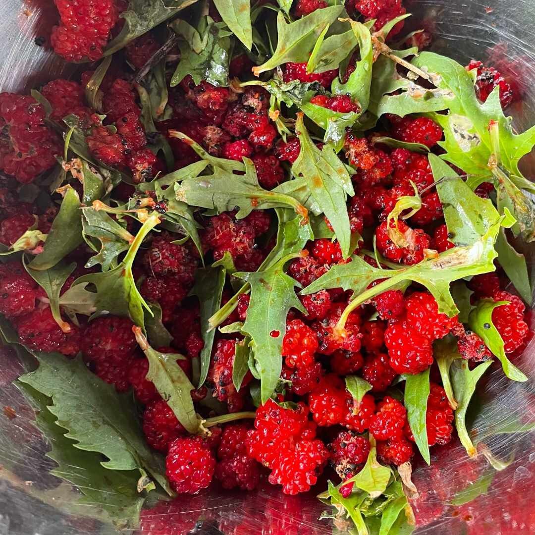 Spinach - Strawberry