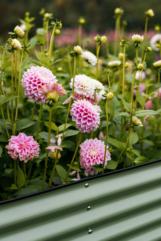 Gardening Supplies Canada Circle Farms Urban Homestead